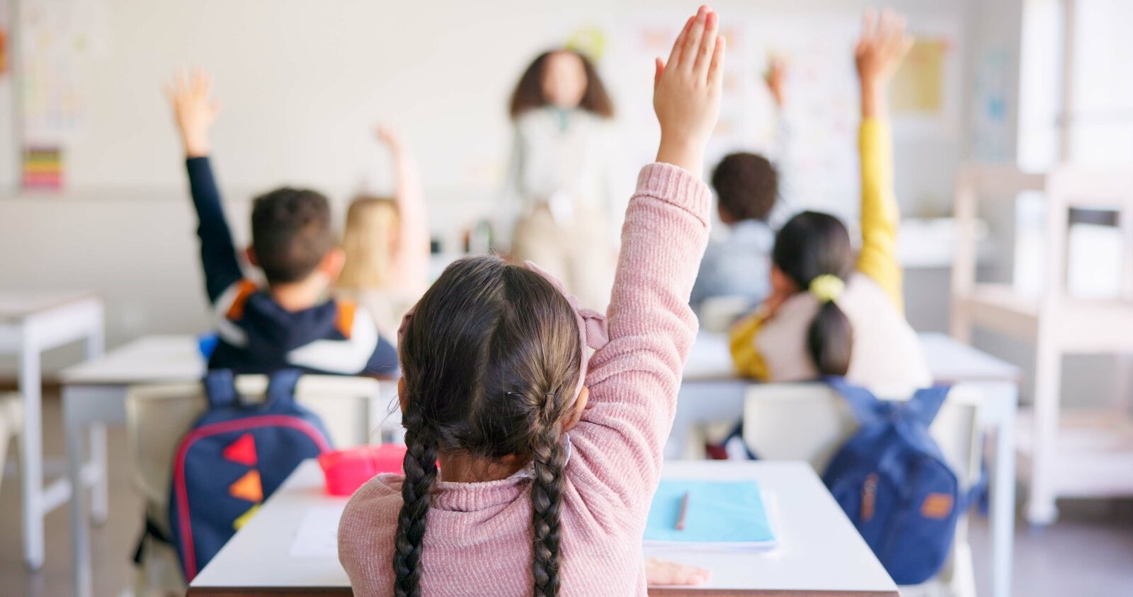 A primary school class with their hands raised, seen from the back of the classroom